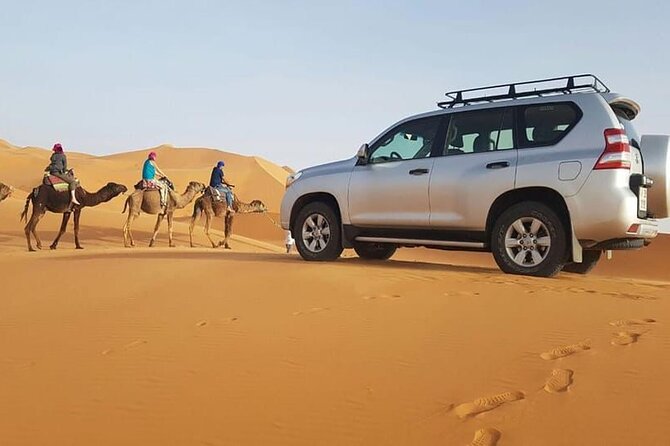 Jeep safari 4x4 mini sahara desert with Berber Lunch - Key highlights to know before you go
