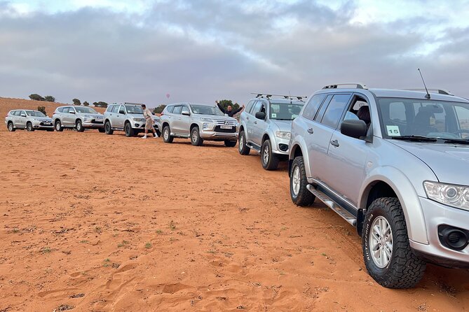 Jeep safari 4x4 mini sahara desert with Berber Lunch - Oued Massa and the dam viewpoint: nature, then wide open skies