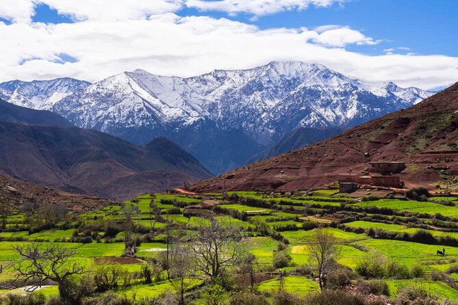 Lunch in the High Atlas: Ourika Valley Waterfalls & 3 Valleys - Should You Book This High Atlas and Agafay Sunset Experience?