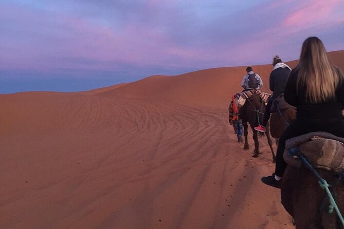 Luxury 2-Days Desert Trip from Fes to.:( fes or marakech) - Camel trek and sandboarding: fun, but manage your expectations