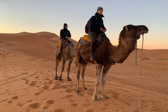 Luxury 2-Days Desert Trip from Fes to.:( fes or marakech) - Returning to Fez via Rissani, Erfoud, Errachidia, and Midelt