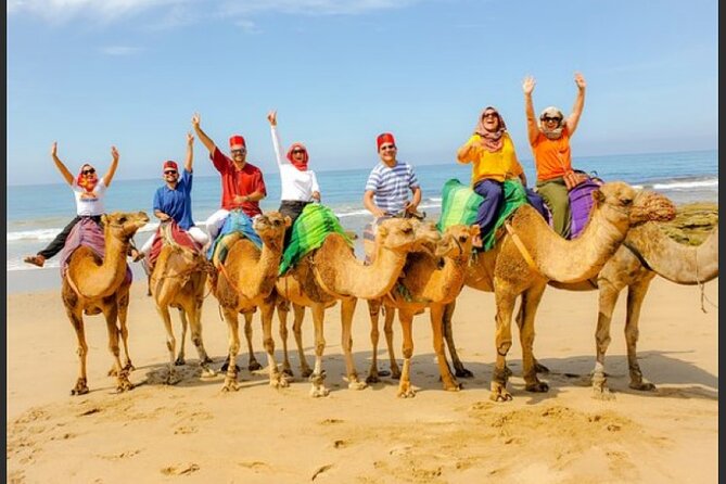 luxury 4 Hour Private Tour of Tangier - Key points to know before you go