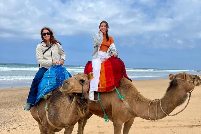 luxury 4 Hour Private Tour of Tangier - A half-day Tangier tour that covers the big moves without the chaos