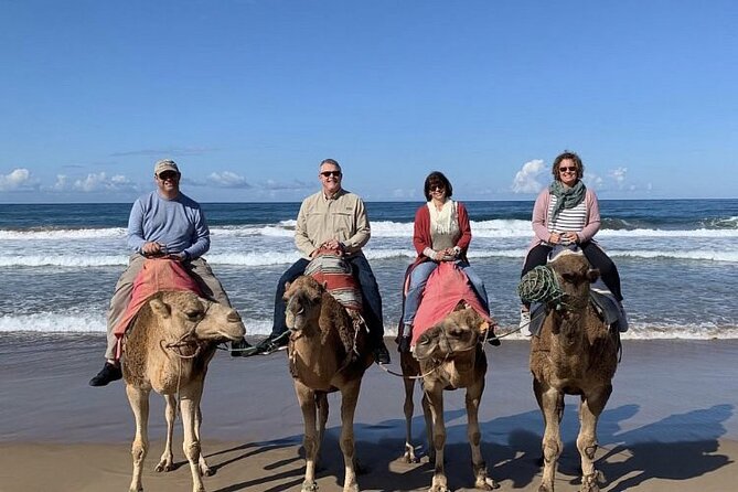 luxury 4 Hour Private Tour of Tangier - Tangier Casbah and Dar el Makhzen viewpoints: hilltop power and palace gardens