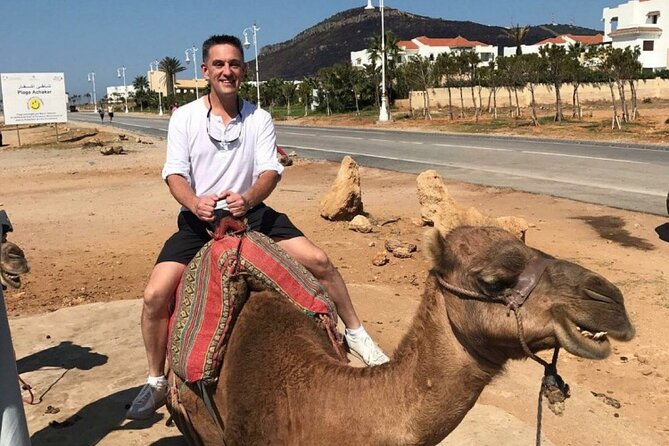 luxury 4 Hour Private Tour of Tangier - Pickup, A/C car comfort, and how VIP pace usually works