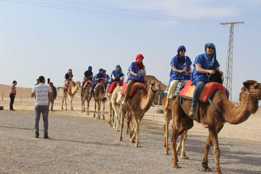 Luxury Agafay Desert : Quad , Camel Ride, Pool & Dinner Show - Pool Access at the Camp: a real recharge, not just a stop