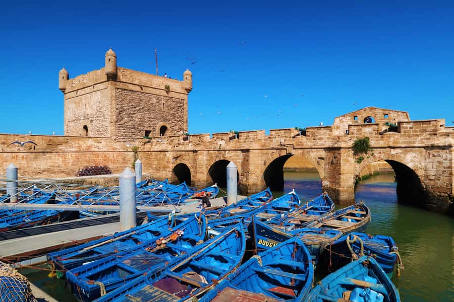 Luxury day trip to Essaouira from Marrakech - Women’s argan cooperative, what you’re actually seeing