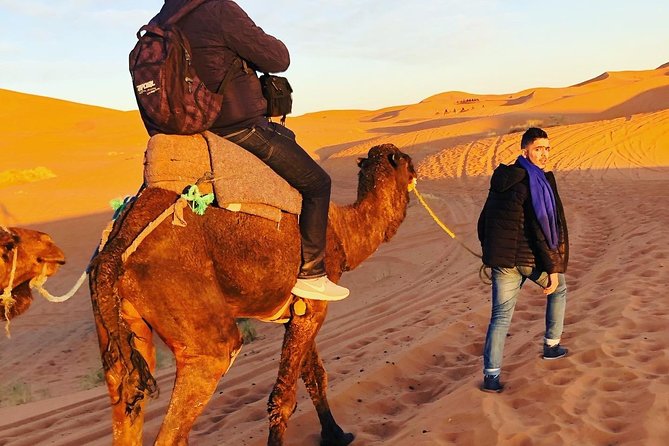 Luxury Overnight Sahara Desert trip fez Back to Fez or Marrakech - Day 2 Sunrise Camel Time and the Road Back to Fez or Marrakech