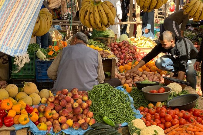 Luxury private day trip - Atlas Mountains, Agafay Desert & camels - Key things to know before you go