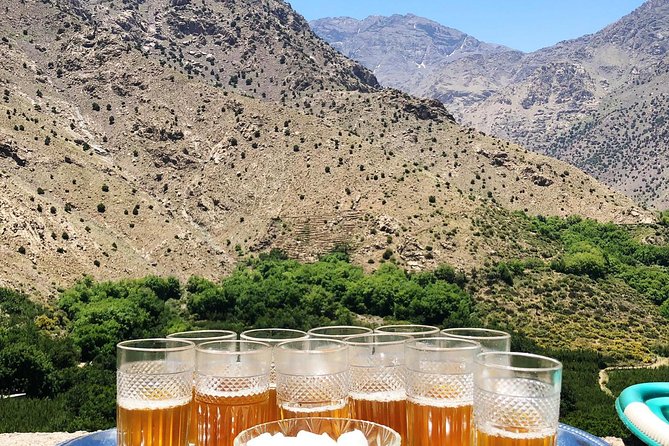 Luxury private day trip - Atlas Mountains, Agafay Desert & camels - Tuesday and Saturday add-on: the local Berber farmers market