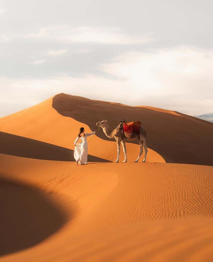 Majestic Desert: 3-Day Luxury Journey from Marrakech to Fes - Day 1: Marrakech to Ouarzazate, Skoura, and the Red-Cliff Calm of Dades Valley