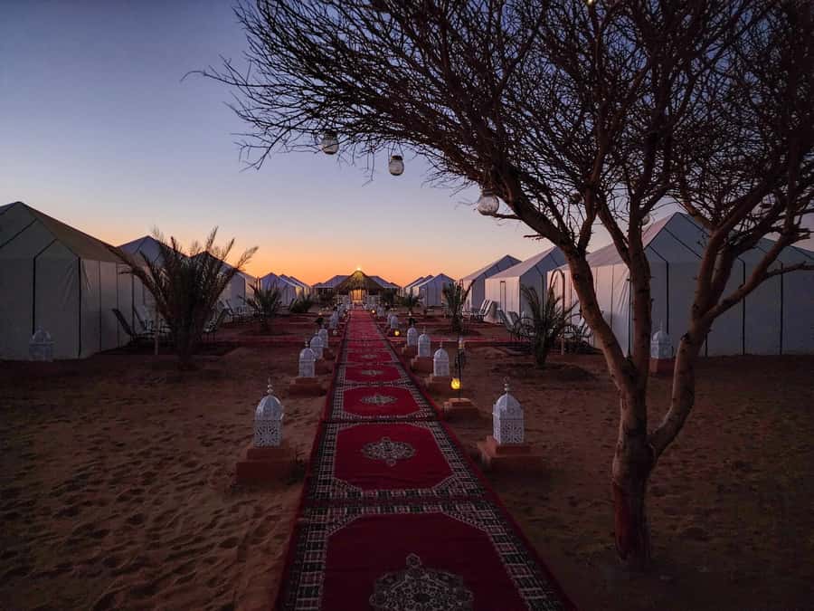 Majestic Desert: 3-Day Luxury Journey from Marrakech to Fes - Guides, Local Stops, and the Human Touch That Makes It Feel Like More Than Sights