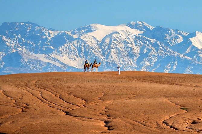 Marical dinner and camel ride at sunset in Desert of Marrakech - Asni Valley argan stop: bread and oil tasting with Moroccan tea