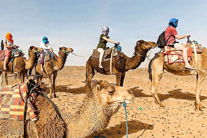 Marrakech: 1 Day Tour-Best of the Atlas Mountains &Three Valleys - Market Day Bonus: The Berber Market Stop on Tuesdays and Saturdays