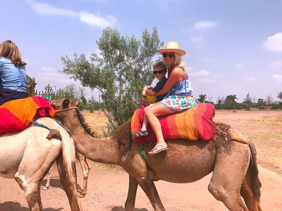 Marrakech : 1-Hour Camel Ride Through the Palm Grove - Why a camel ride in the Palmeraie feels like a mini getaway
