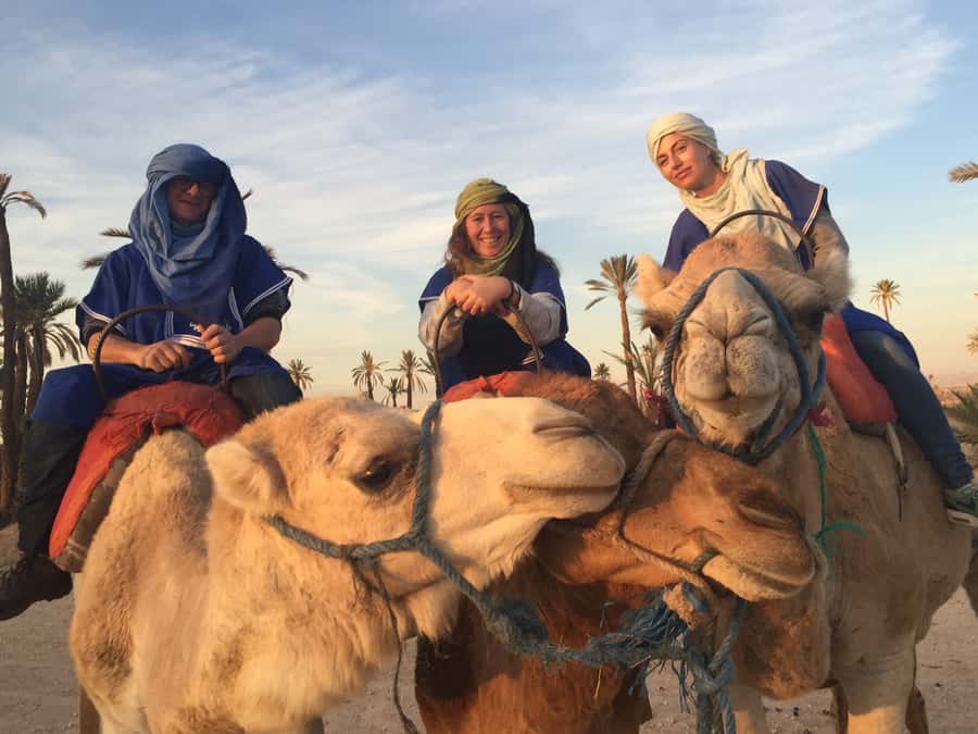 Marrakech : 1-Hour Camel Ride Through the Palm Grove - What can disappoint: Palmeraie looks, and transport timing
