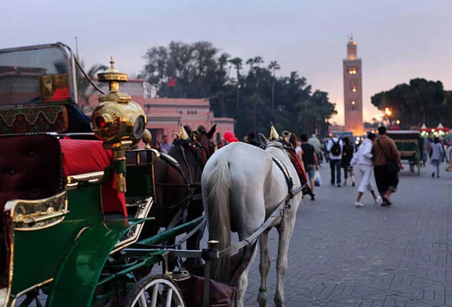 Marrakech: 1-Hour Traditional Horse-Drawn Carriage Tour - Key Things I’d Pay Attention To