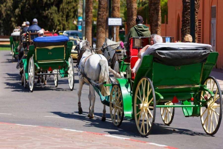 Marrakech: 1-Hour Traditional Horse-Drawn Carriage Tour - The Point of This Tour: A Different Marrakech Pace