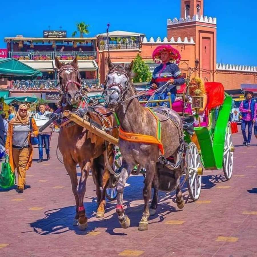 Marrakech: 1-Hour Traditional Horse-Drawn Carriage Tour - Menara Garden: A Calm Stop With Atlas Views