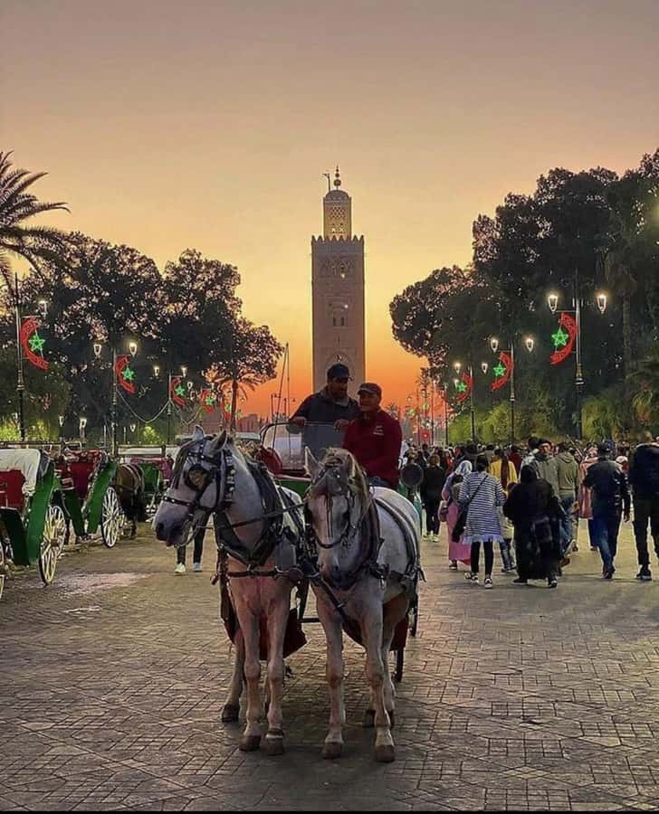 Marrakech: 1-Hour Traditional Horse-Drawn Carriage Tour - Timing, Pickup, and the Reality of a One-Hour Tour