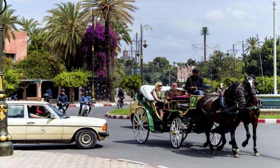 Marrakech: 1-Hour Traditional Horse-Drawn Carriage Tour - The Role of the Guide: More Than Just Driving Around
