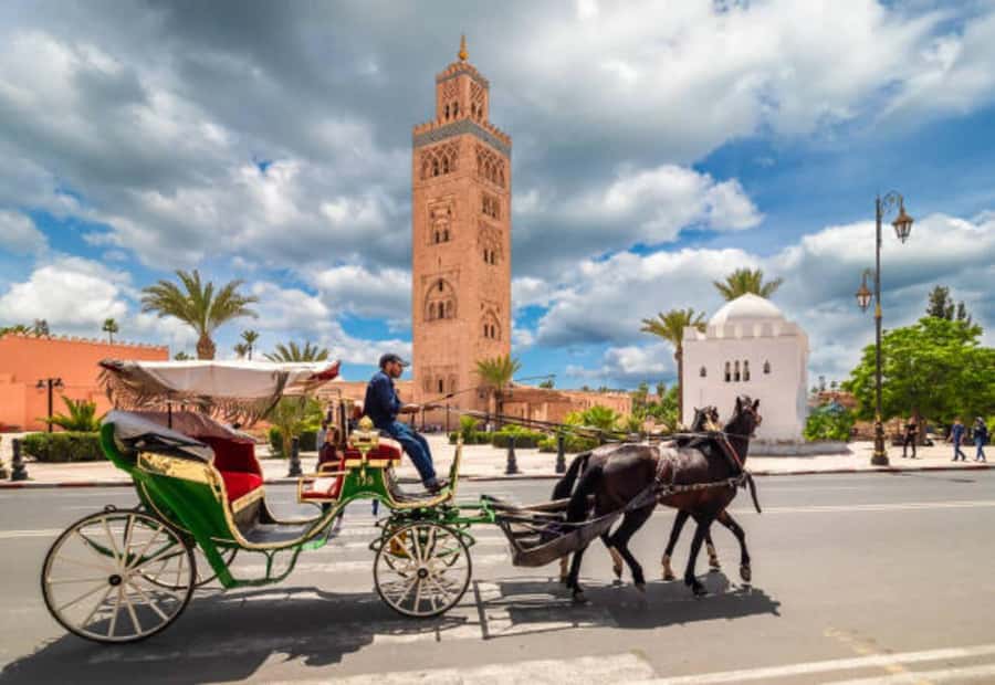 Marrakech: 1-Hour Traditional Horse-Drawn Carriage Tour - Hotel Islan pick-up and the WhatsApp reality check