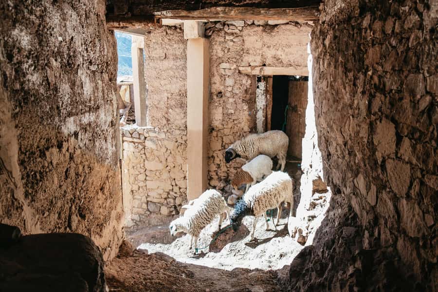 Marrakech: 2-Day Atlas Mountains Trek with Village Stay - Value for $96: what you’re really paying for