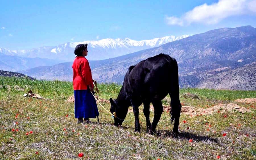 Marrakech: 2-Day Atlas Villages Trekking Tour - Key things to notice before you go