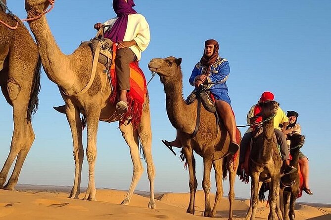 Marrakech: 2 Days tour to Sahara Zagora Desert & Ait-BenHaddou - Key moments worth your attention