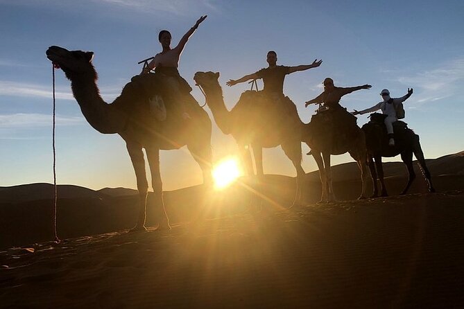 Marrakech: 2 Days tour to Sahara Zagora Desert & Ait-BenHaddou - Ouarzazate and the Studio Cinema timing: good stop, but not a guarantee