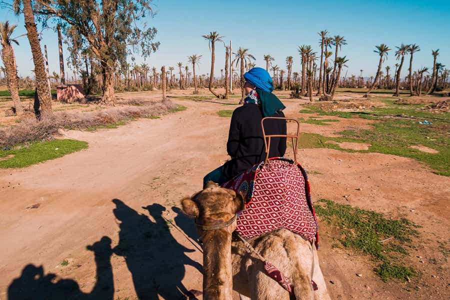 Marrakech: 2-Hour Quad Bike & Camel Ride in Palmeraie - Key Points at a Glance