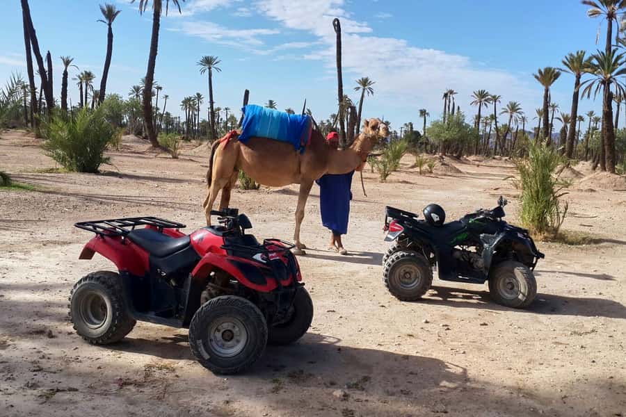 Marrakech: 2-Hour Quad Bike & Camel Ride in Palmeraie - Leaving Marrakech for Palmeraie, without burning your day