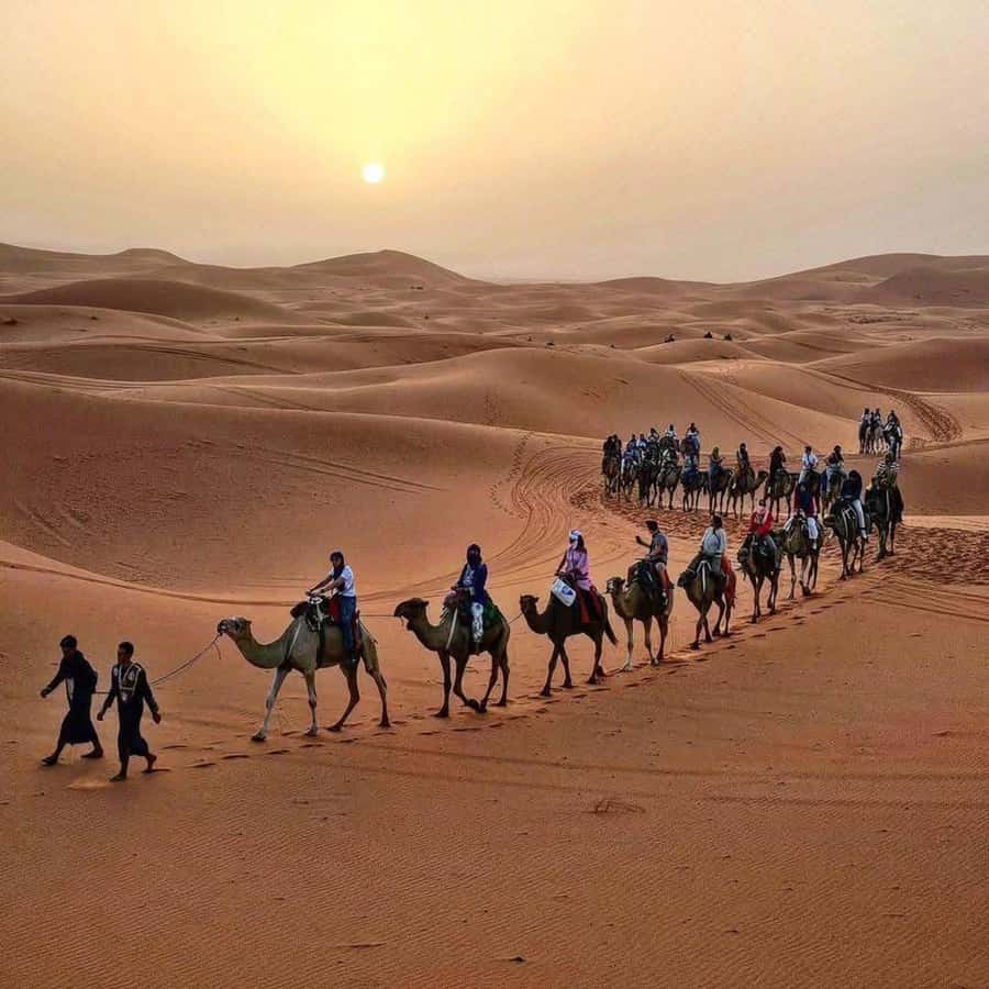 Marrakech: 3-Day Luxurious Desert Tour to Fes via Merzouga. - Quick highlights you will actually care about