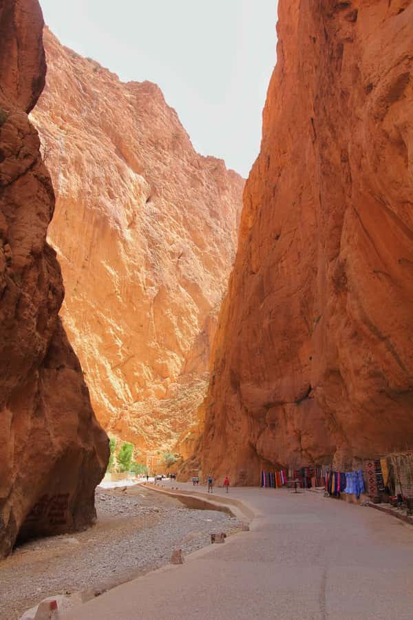 Marrakech: 3-Day Merzouga and Sahara Desert Tour - Sunrise camel ride and the return toward Marrakech