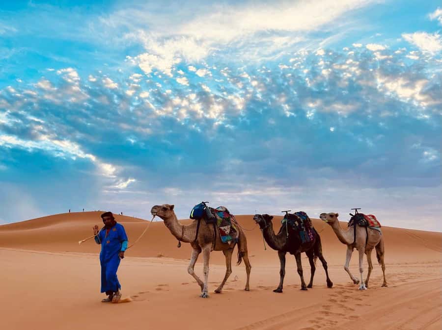Marrakech: 3-Day Merzouga Desert Tour Camel & Sandboarding - The guides make the trip feel safe and smooth