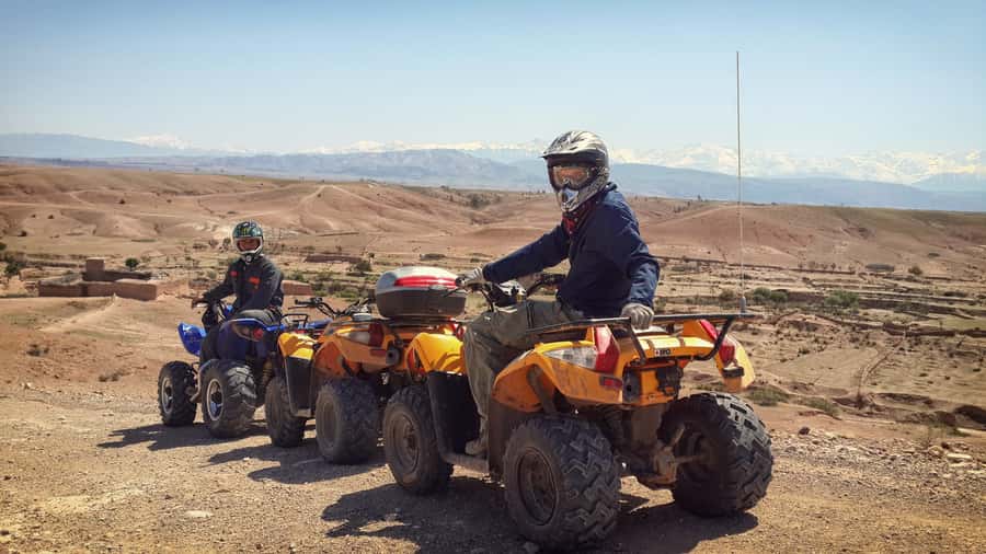 Marrakech: 3-Hour Quad Bike Adventure - Quad Biking in Marrakech Palmeraie: Why This Feels Like More Than a Ride