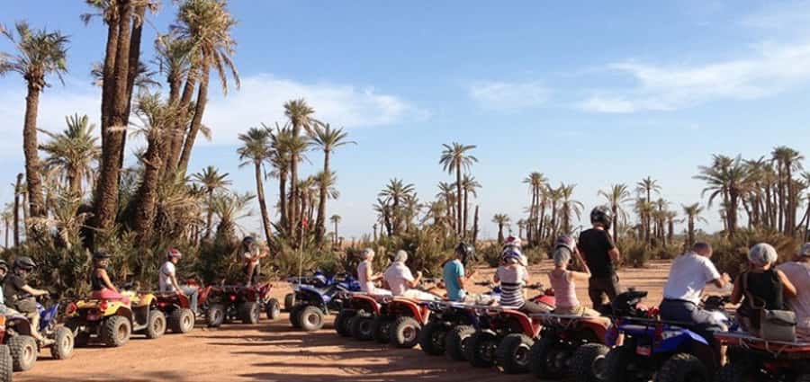 Marrakech: 3-Hour Quad Bike Adventure - Who This Quad Adventure Is Best For