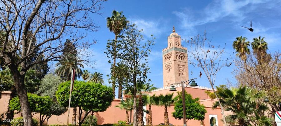 Marrakech 3-Hour Walking Tour - Bahia Palace and the 160-room “royal world” you can actually walk through