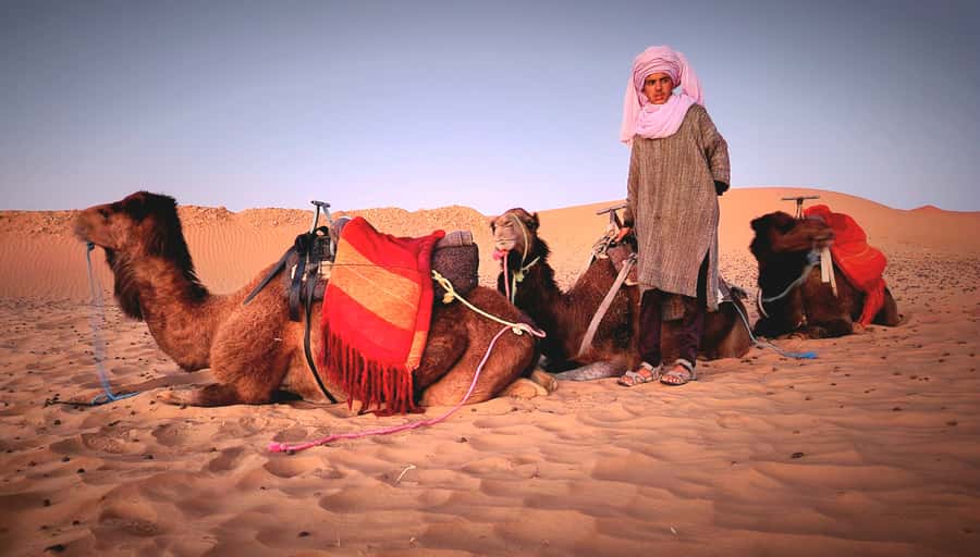Marrakech: 3Day Luxurious Merzouga Tour w/ Camel&Quad Option - Should you book the Marrakech to Merzouga 3-day luxurious tour?