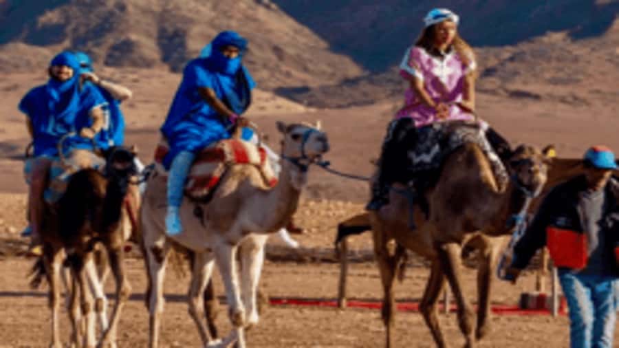 Marrakech Adventure: Paragliding, Camel Ride & Breakfast - Key things to know before you go