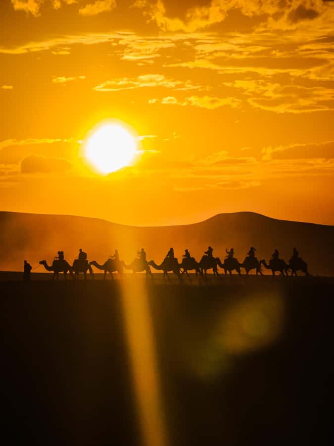 Marrakech: Agafay Camel Ride & Dinner with Fire Show Tour - Key things that make this Agafay night worth your time