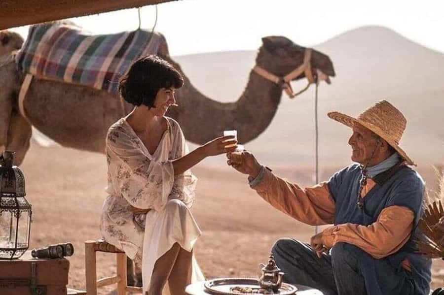 Marrakech: Agafay Desert Camel, Quad Bike & Dinner Show - How the evening logistics work, from pickup to drop-off