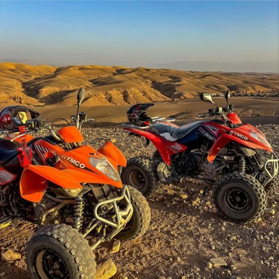 Marrakech: Agafay Desert Camel, Quad Bike & Dinner Show - Value for $36, timing, and who this tour suits