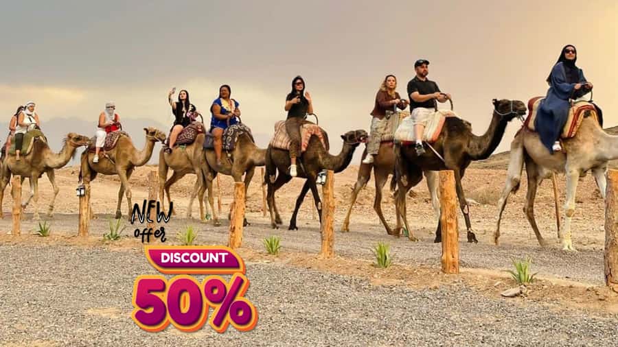 Marrakech: Agafay Desert Camel Ride, Dinner, Fire Show - Price and value at about $15 per person: where the money actually goes