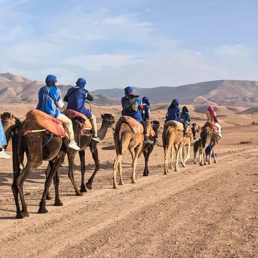 Marrakech: Agafay Desert Camel Ride & Quad with Dinner Show - Live Amazigh music, dance, and the fire show