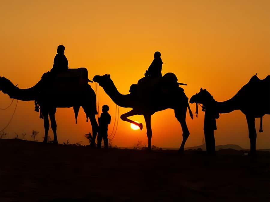 Marrakech: Agafay Desert Camel Ride with Dinner & Show - What to Bring (Besides the Usual Camera)
