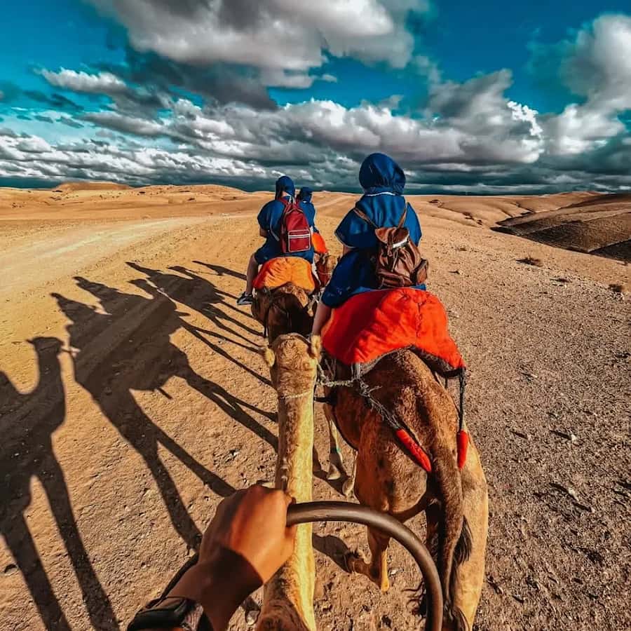 Marrakech: Agafay desert camel ride with dinner & spectacle - Why Agafay Works for a Marrakech Desert Night