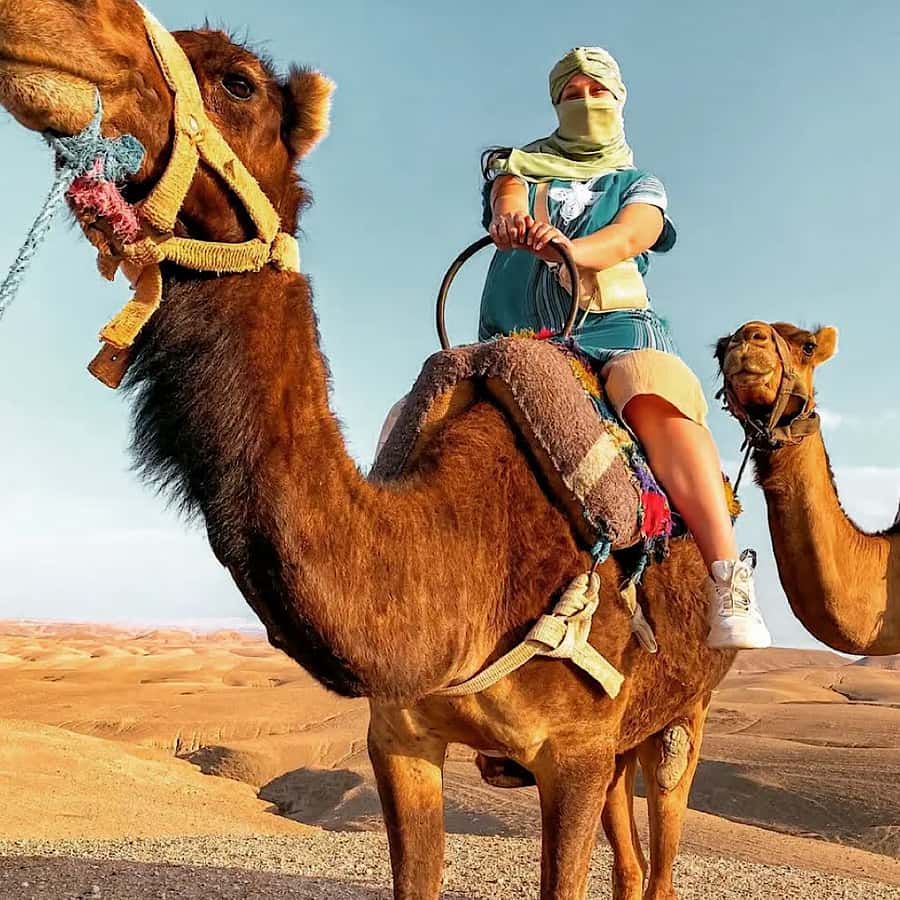 Marrakech: Agafay desert camel ride with dinner & spectacle - Who Should Book This Agafay Night, and Who Should Skip It