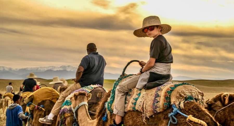 Marrakech: Agafay desert camel ride with dinner & spectacle - Getting There Smoothly, Then Back to Marrakech