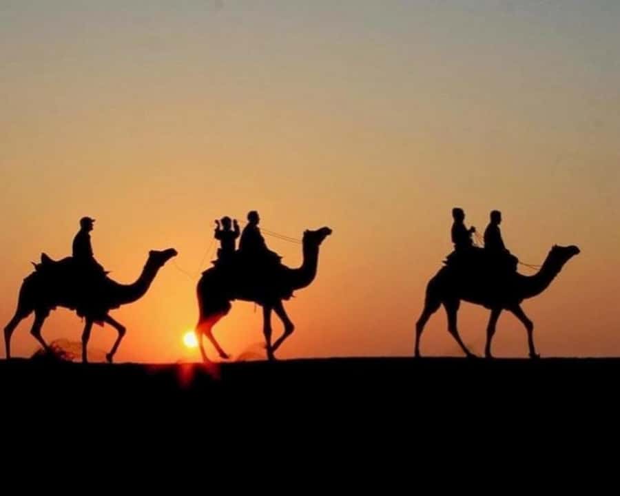 Marrakech: Agafay Desert Camel Rides, Dinner and Fire Show - Agafay Desert Safari From Marrakech, The Real-World Value